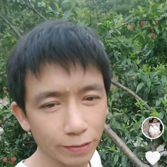 无烟柴火灶