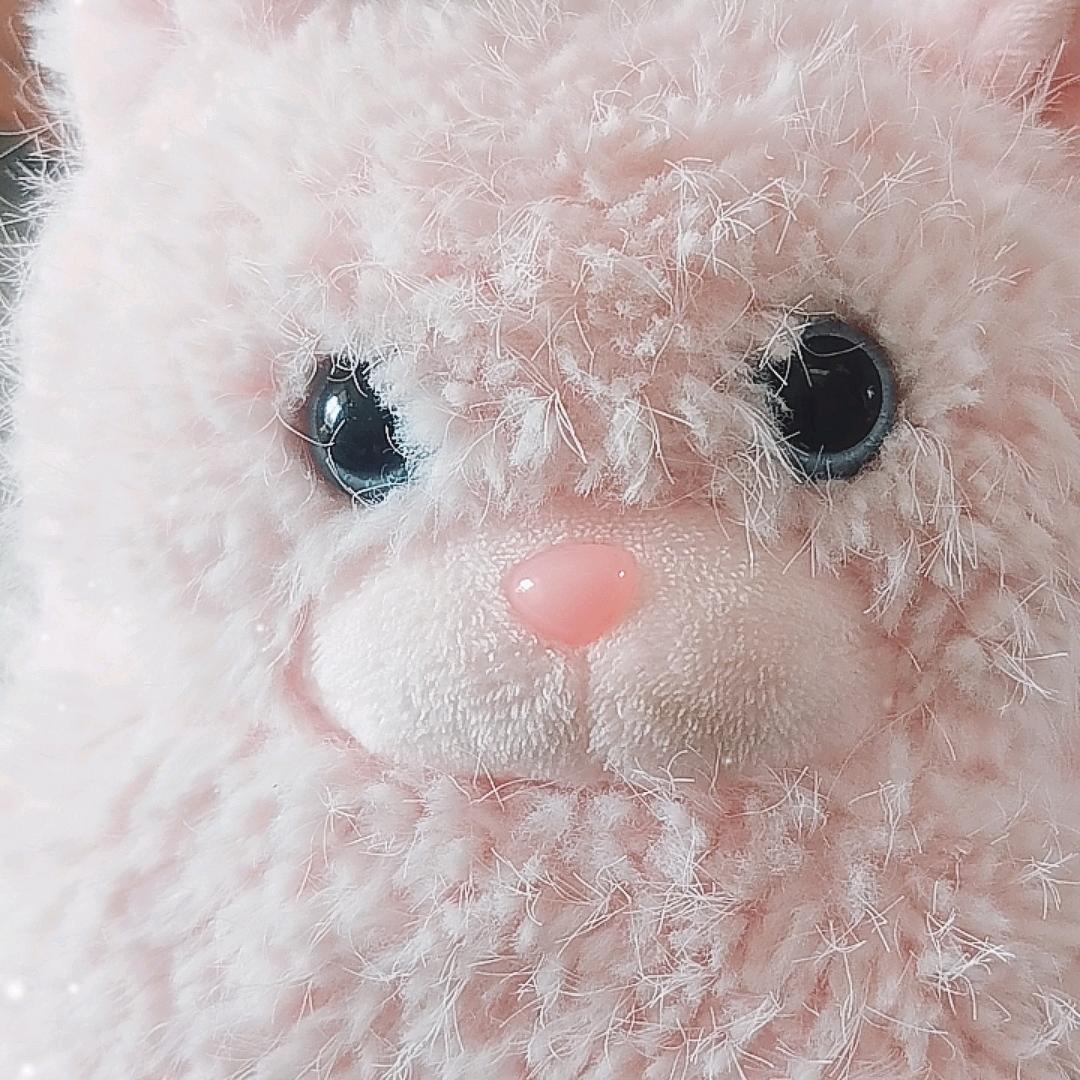 爱h