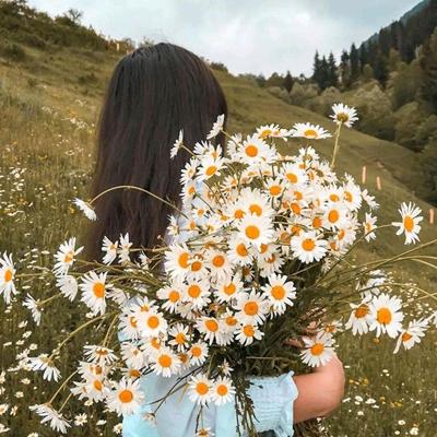 小艺去哪儿了🌼