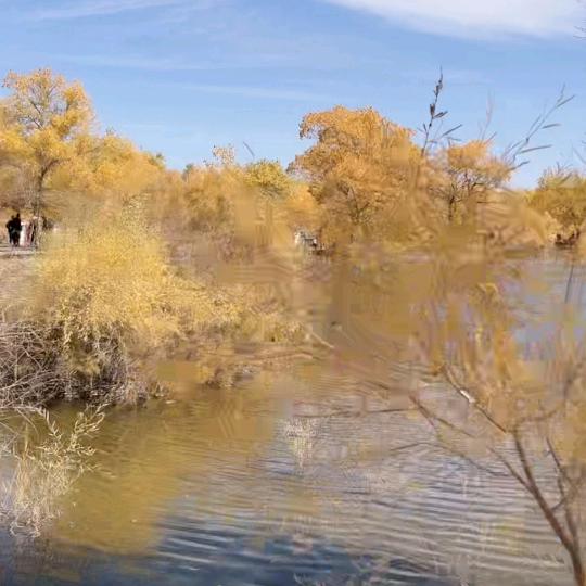 茫茫人海我是谁
