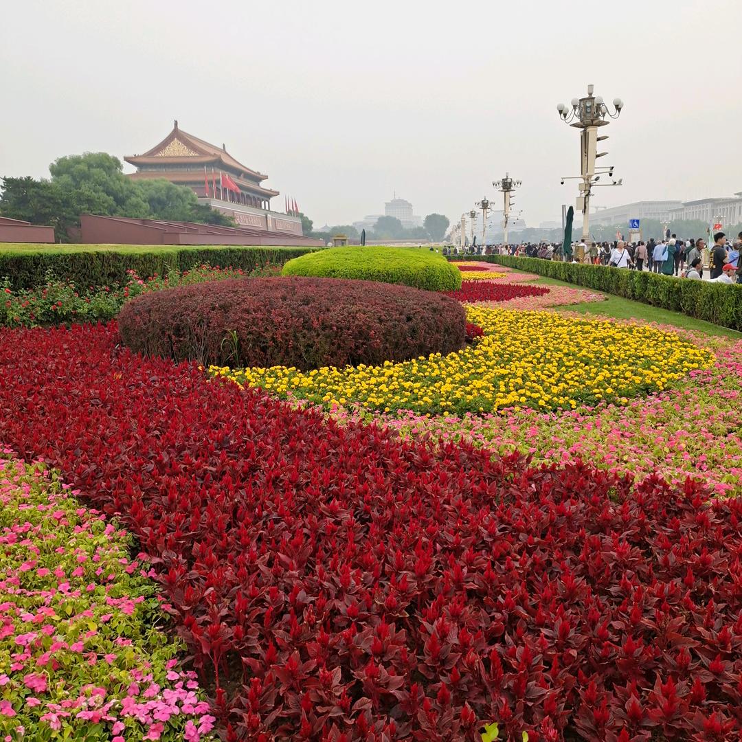 开心快乐🌺🌺