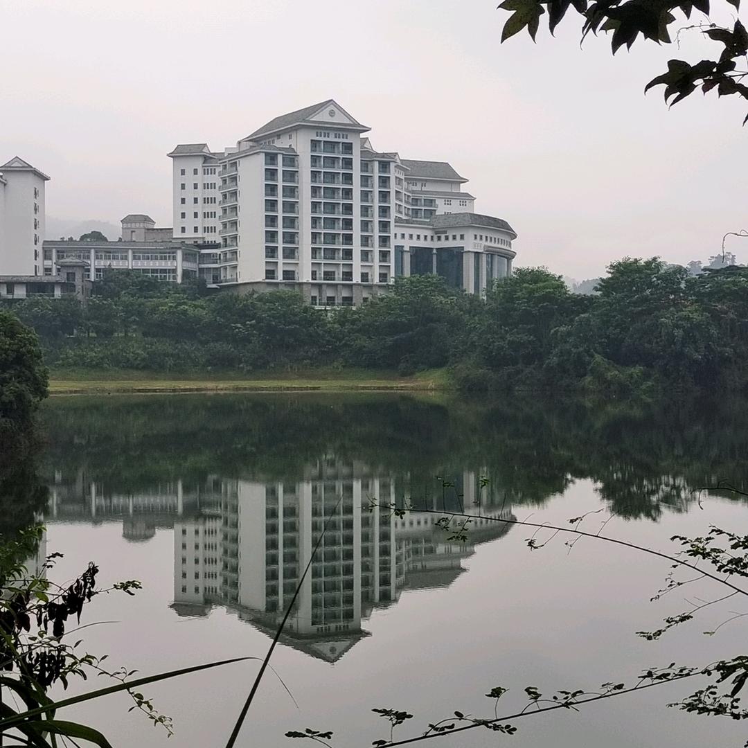 凌霄之志