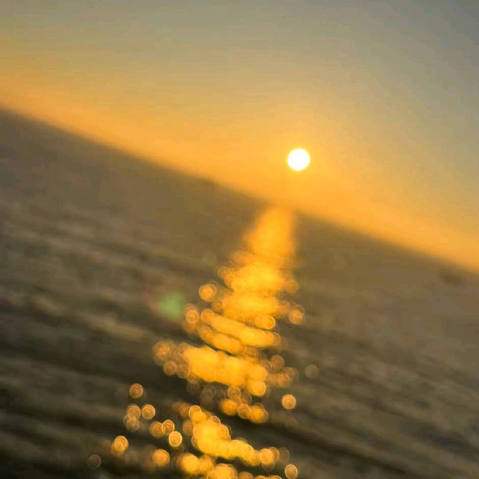 雨后☀️彷徨