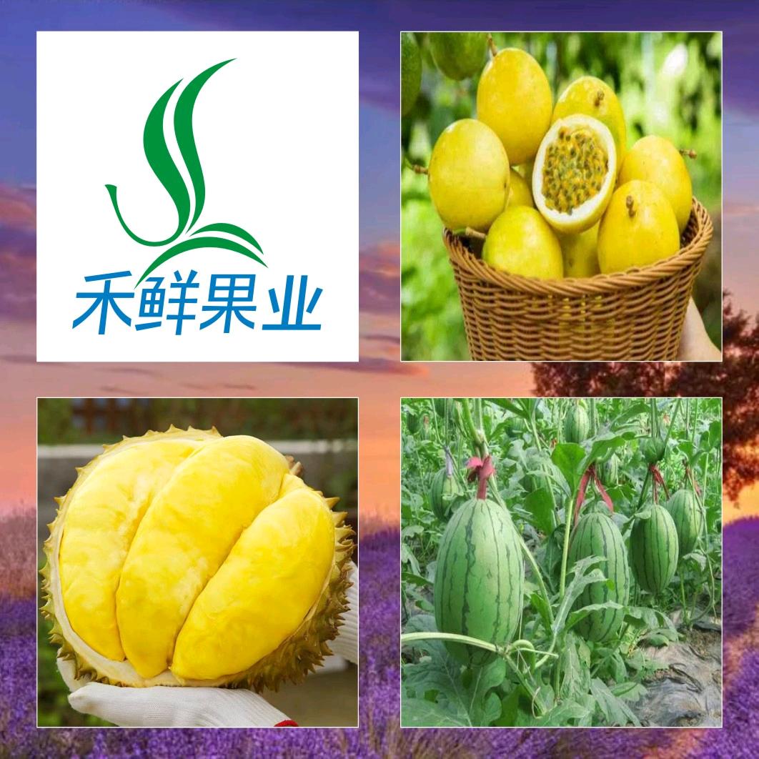 禾鲜果业