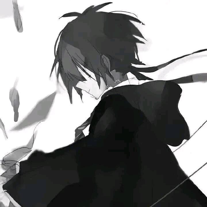 山茶头像