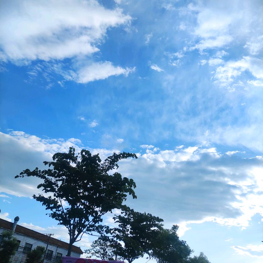 露水仙仙