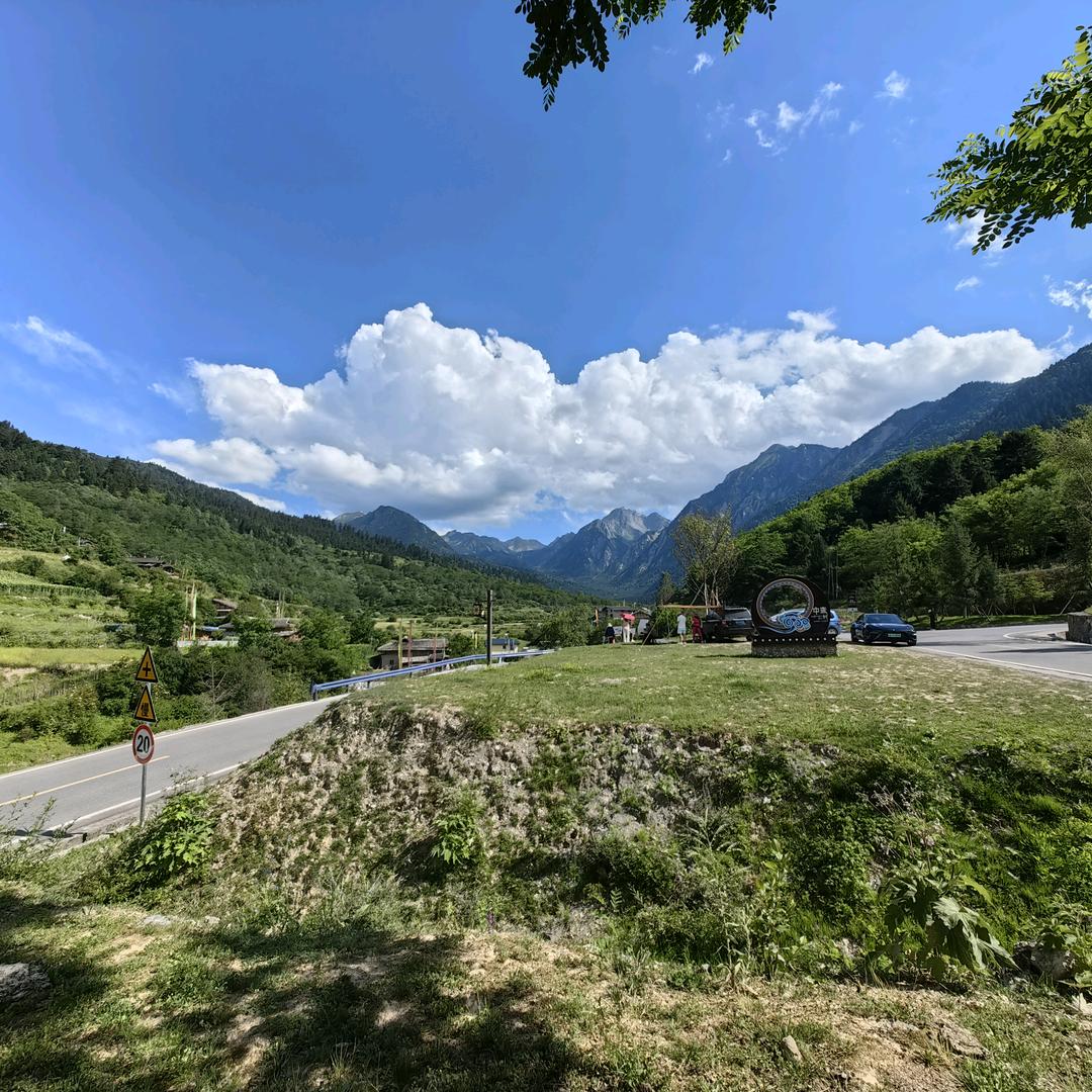 天道酬勤🍃🌲