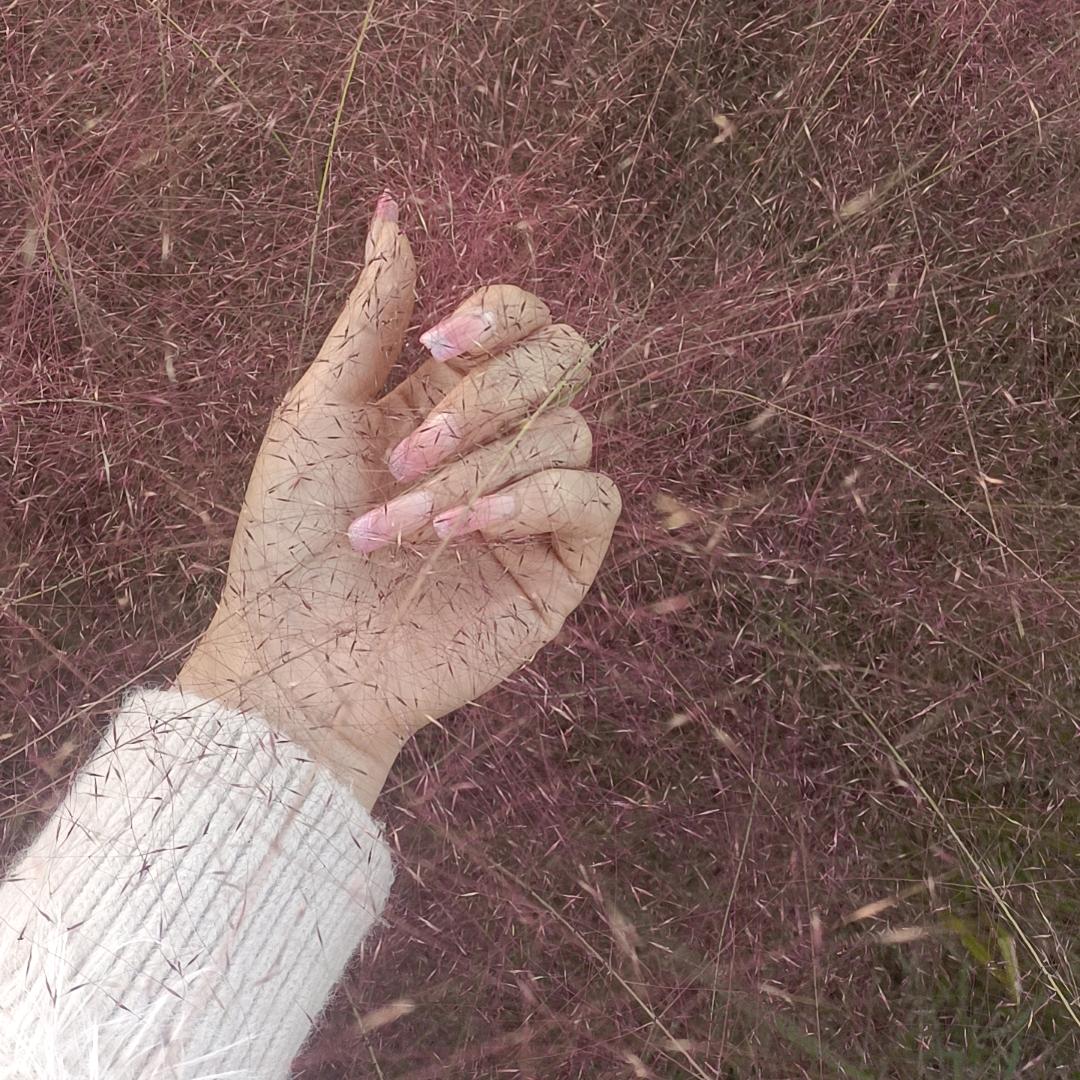 带你看完本宝宝的世界