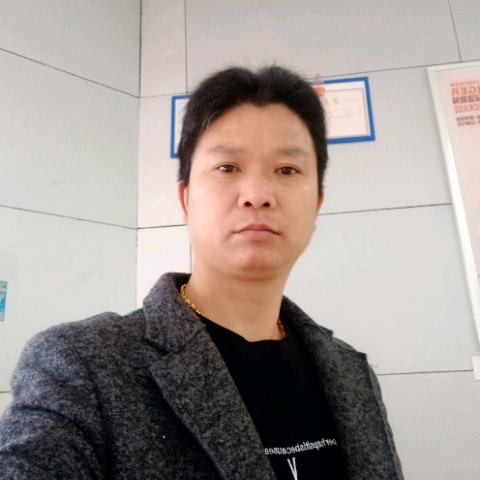 不要再来伤害我