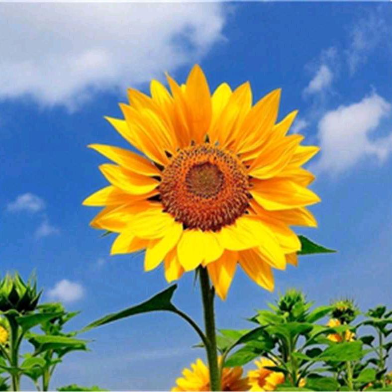 一生幸福，一生平安拒私聊