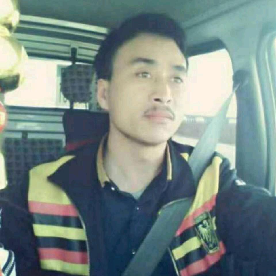 石林上的鱼