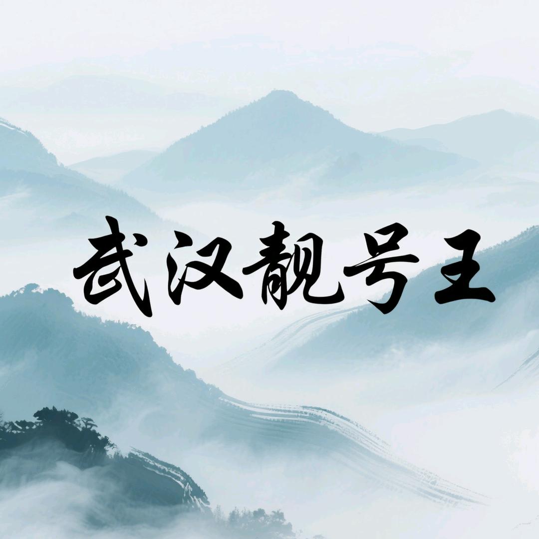 武汉靓号王