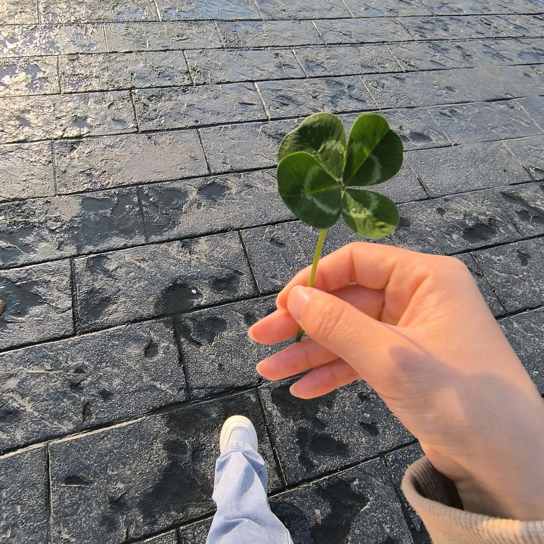 夏日泡泡