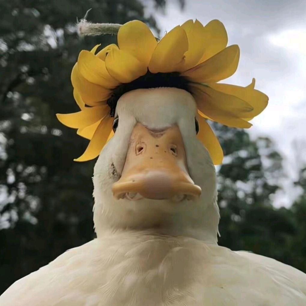 信人远游