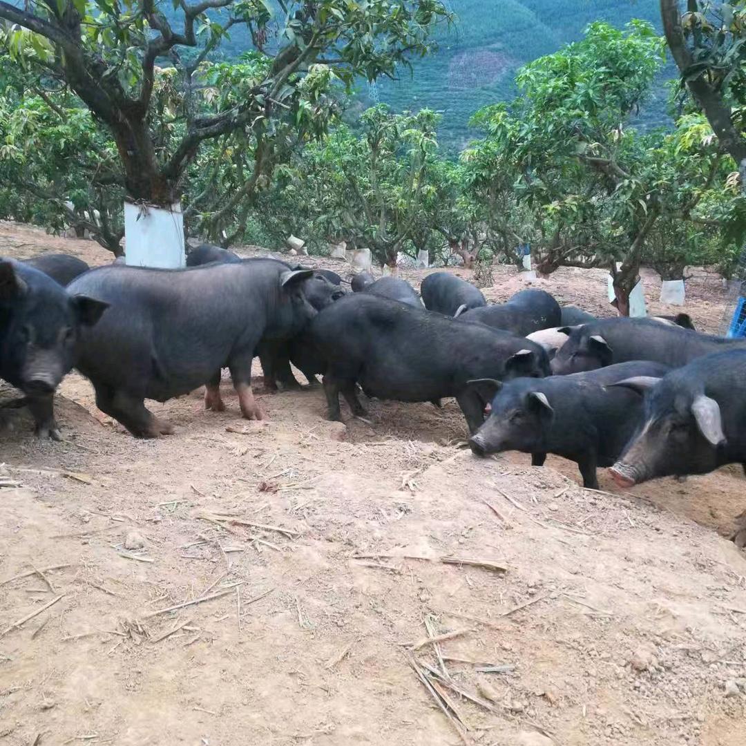 《开》永不止步