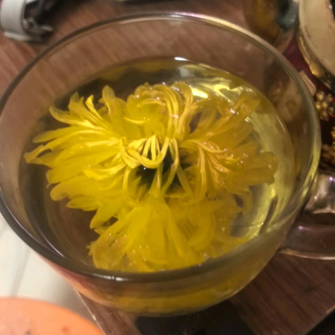 泰迪丸