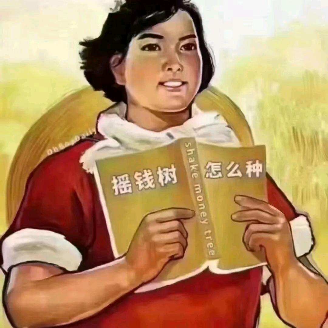 茅⑨哥