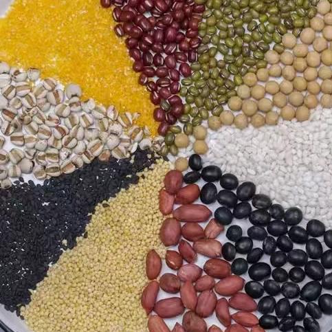 鼎成科技-都都老师