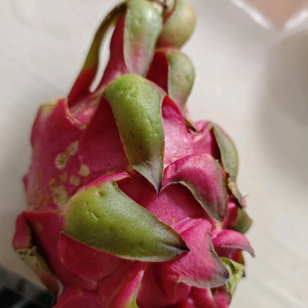 逐梦搭子