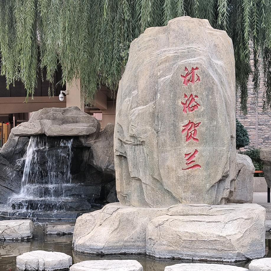 西北狼♧