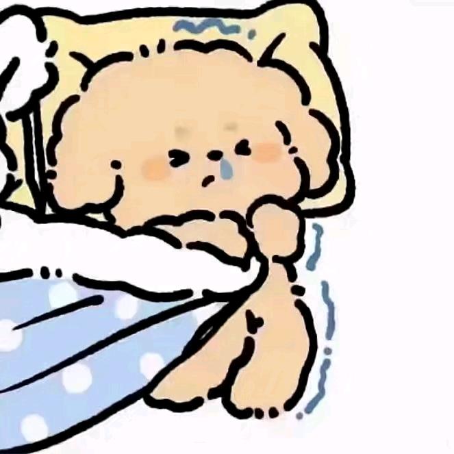 香香小宝🍰