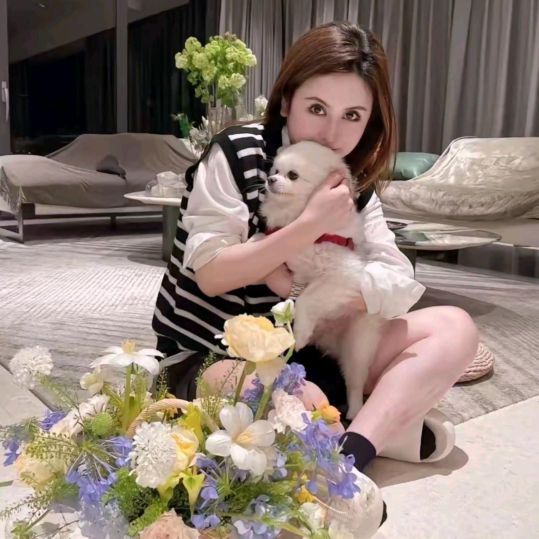 小心甘短视频（直播分享号）