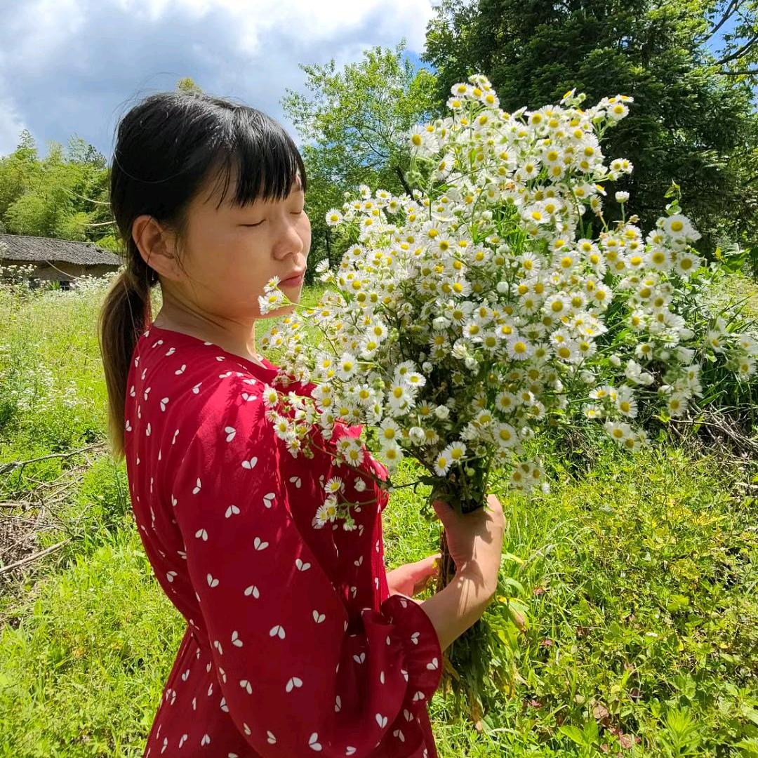 @凤仪小吴