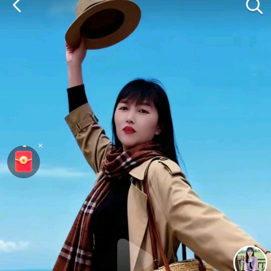 🌵仙人掌🌵