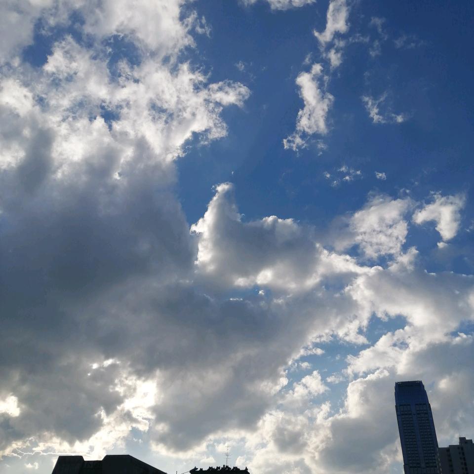 暴风骤雨
