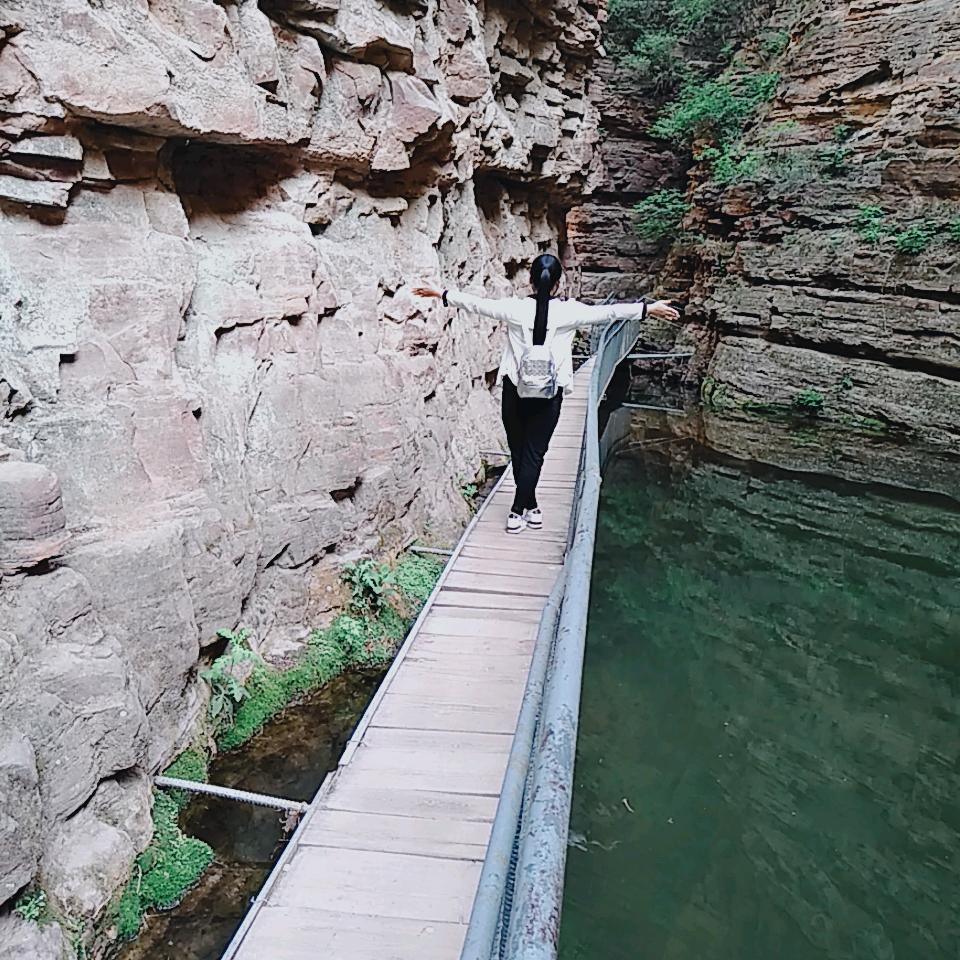 @英豪公子💃🏻💃🏻