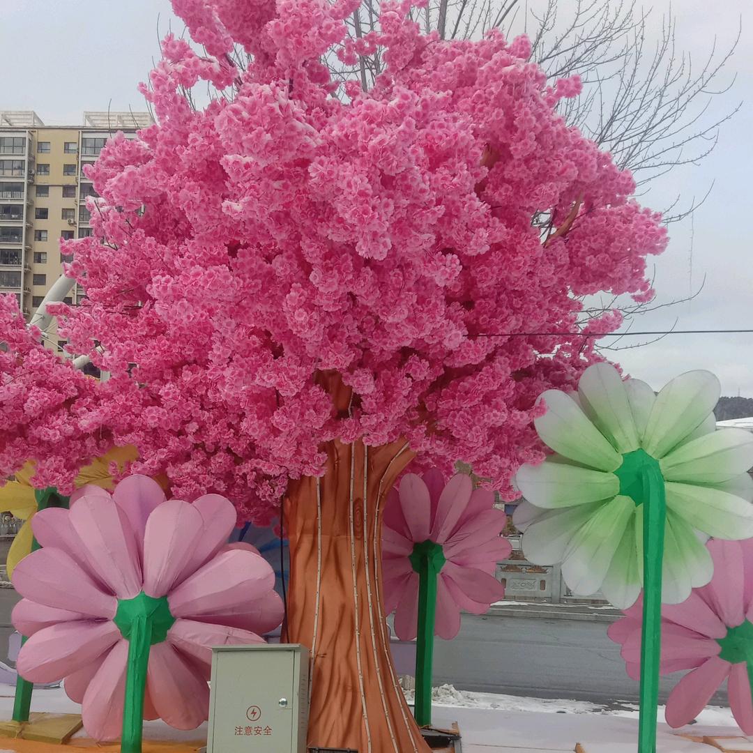 常有理
