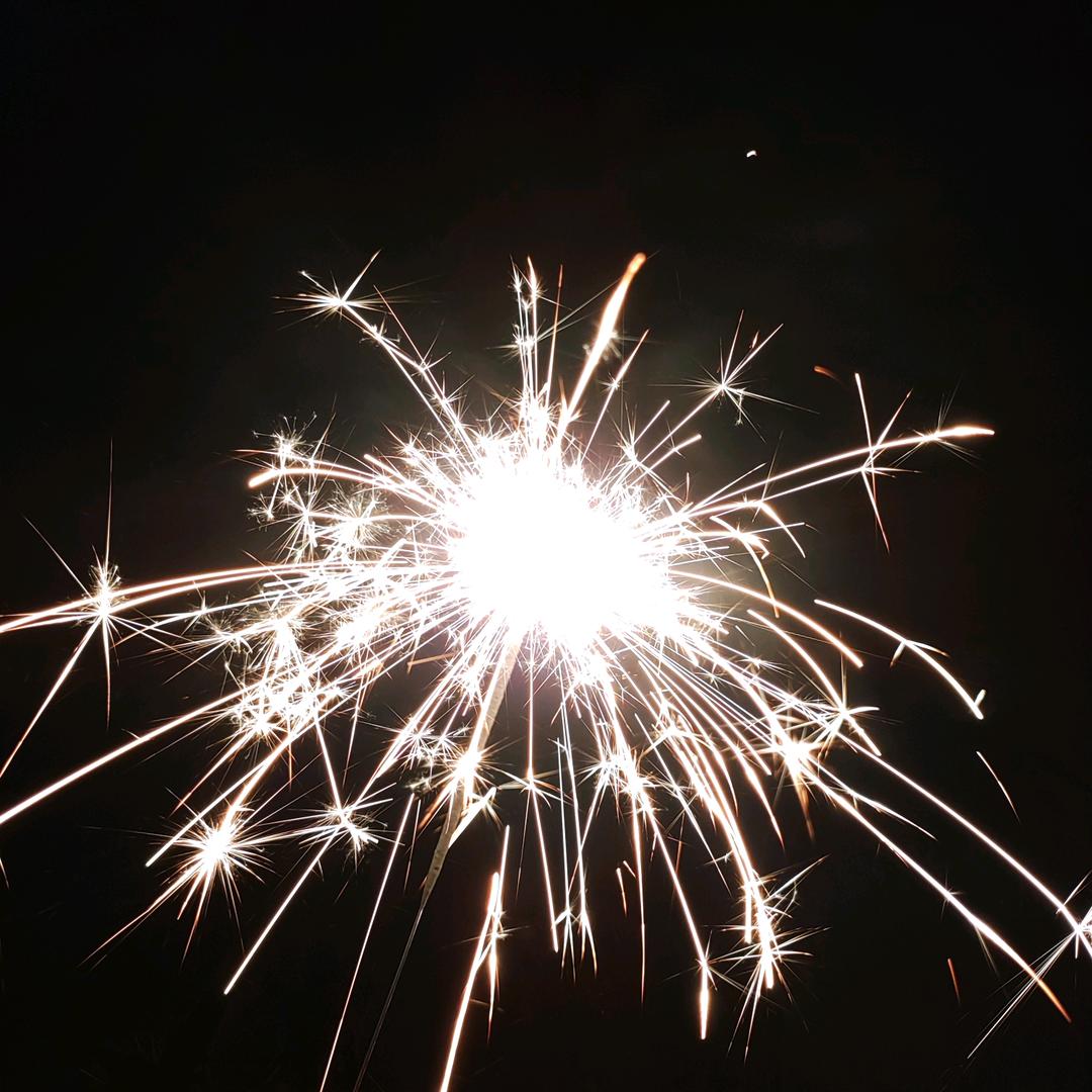 一只叫刀刀的小狗