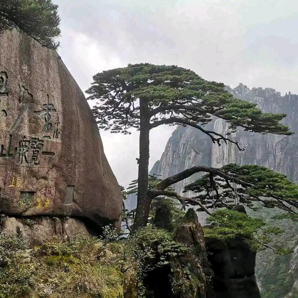 安徽匠山园林景观