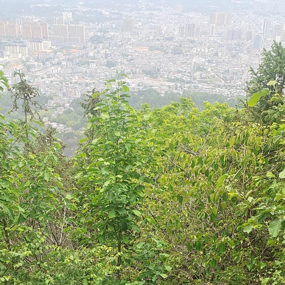 童心不老