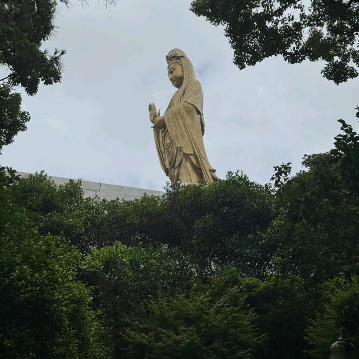 孤独的鱼🐠🐠