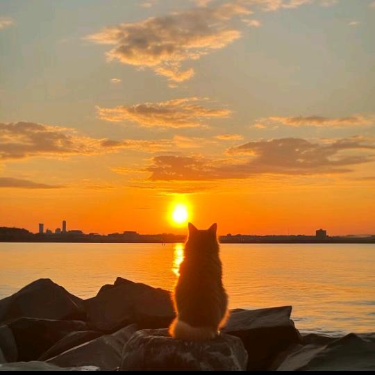 🌿一缕阳光☁️