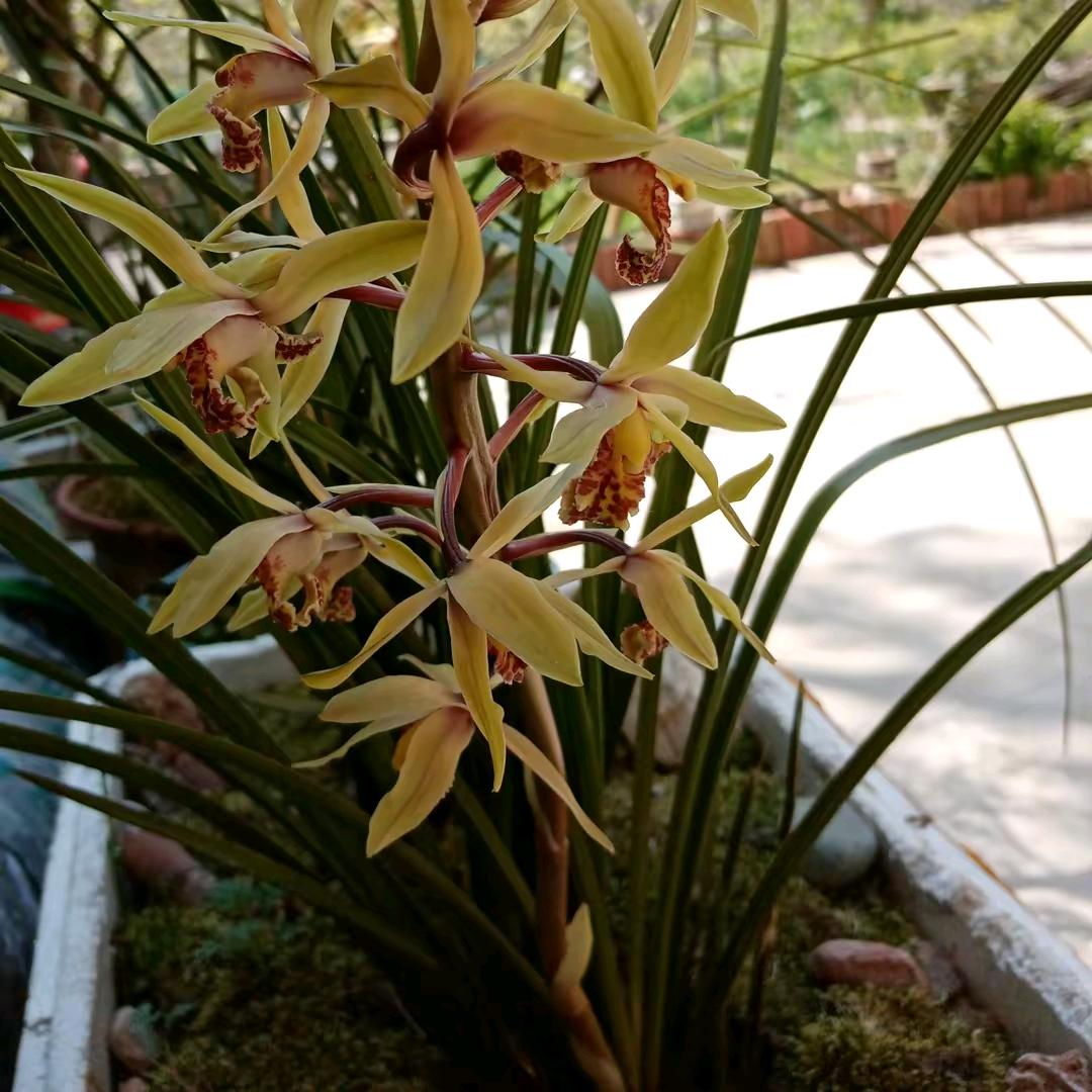 不忘初心，
