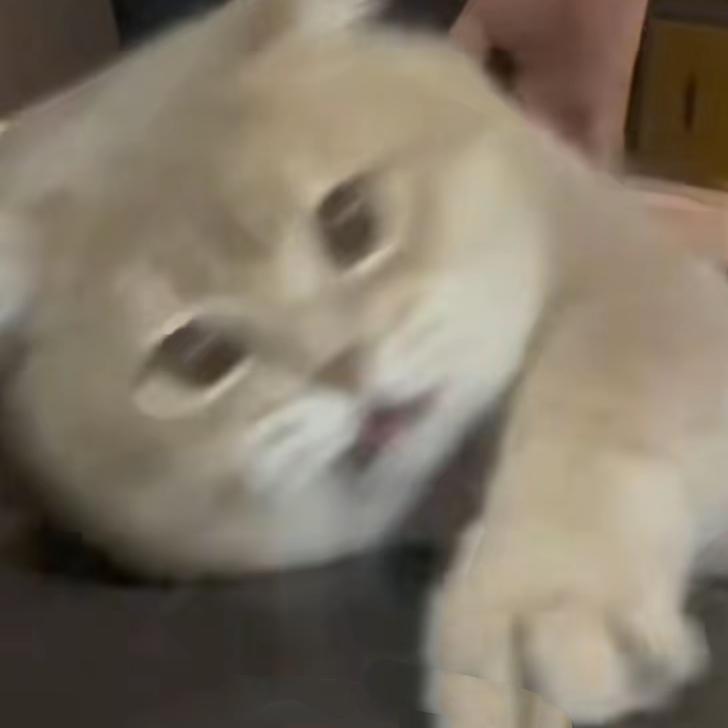 海参一站式购物小铺子