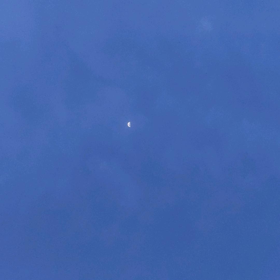 郭小树（一腔热血版）