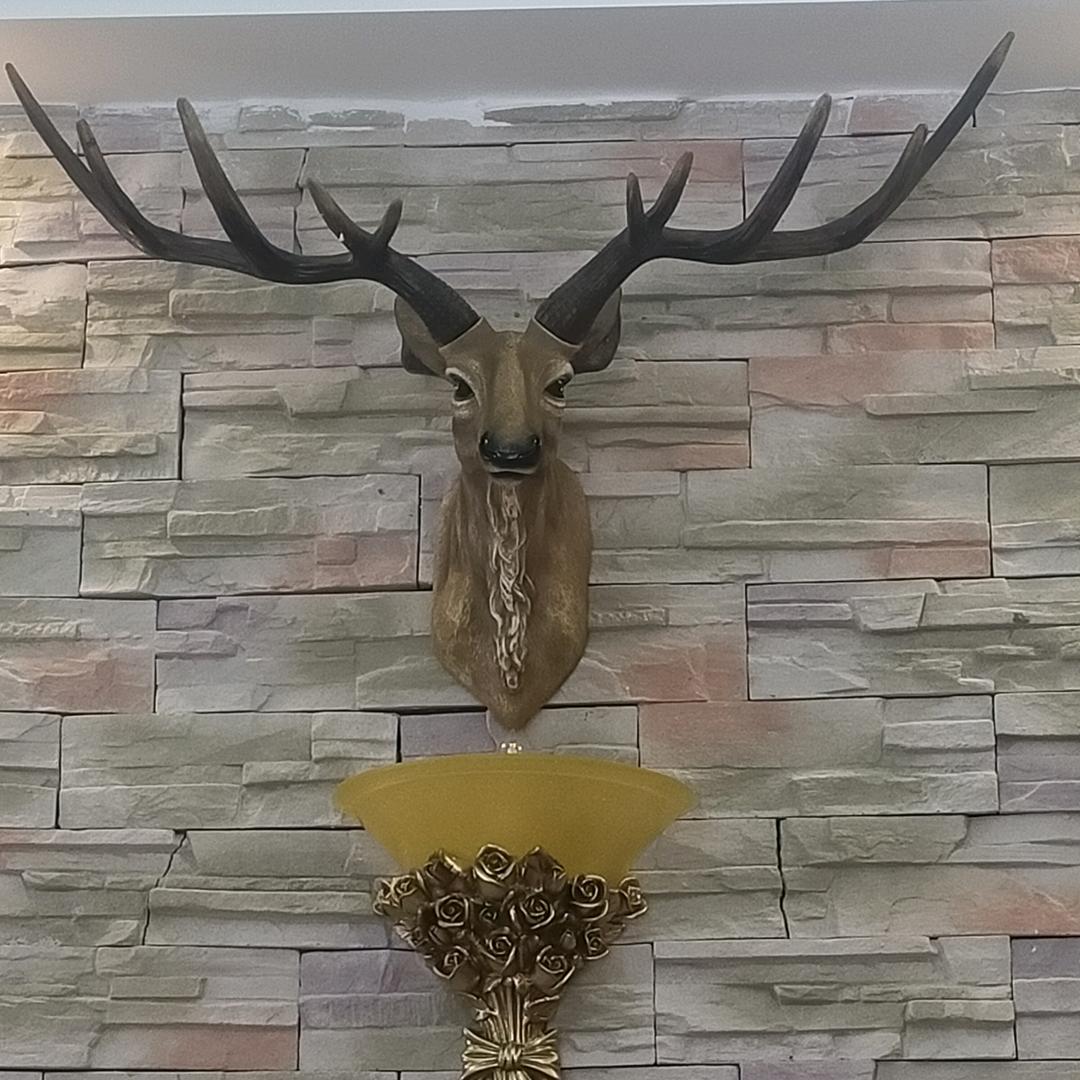 陈，专业钢结构雨棚