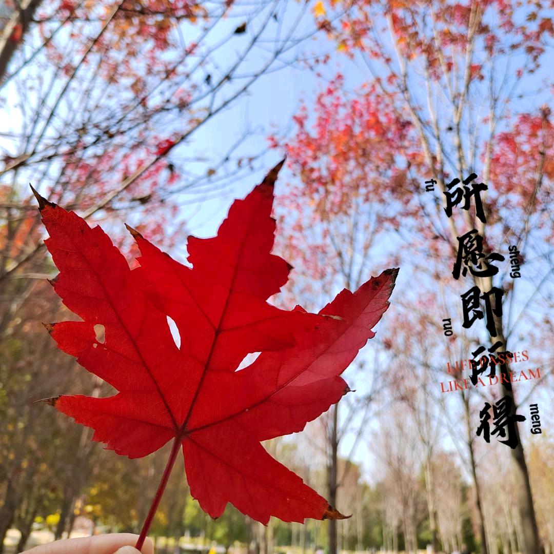 垚垚yaoyao