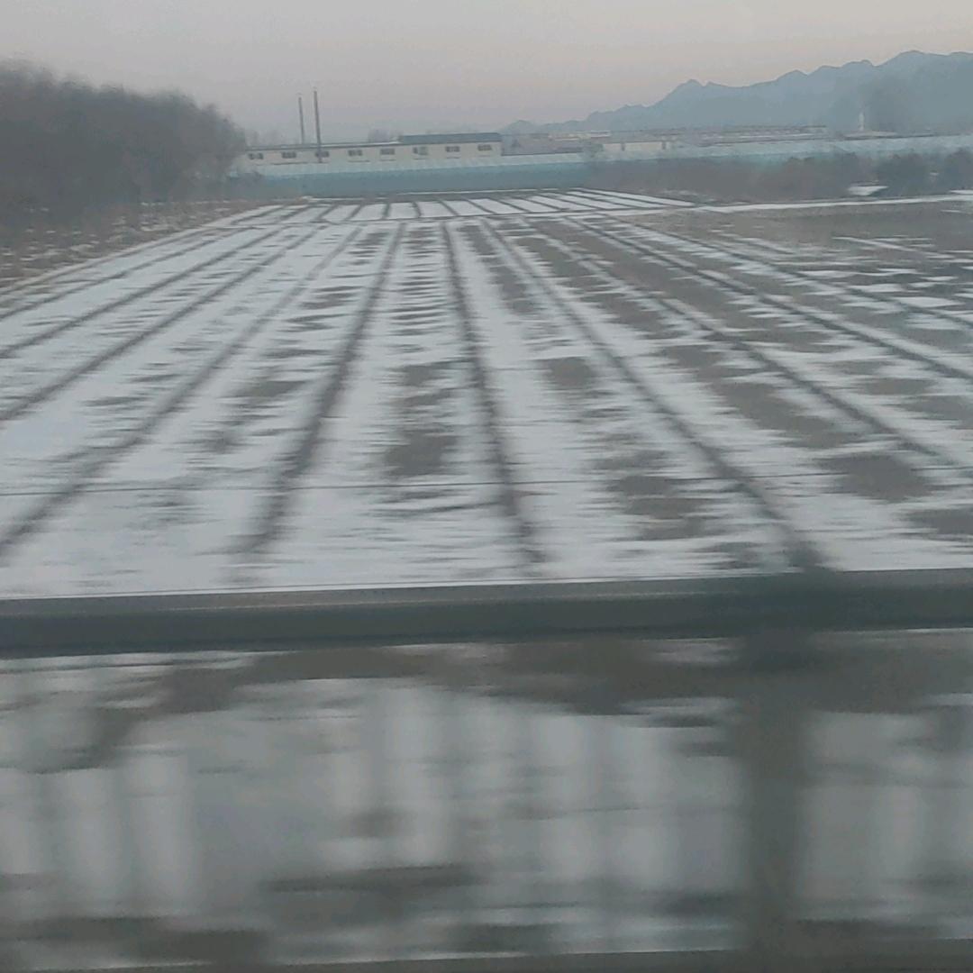 ₍˄·͈༝·͈˄*₎◞ ̑̑