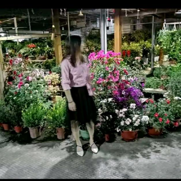 李漂亮🌹小号