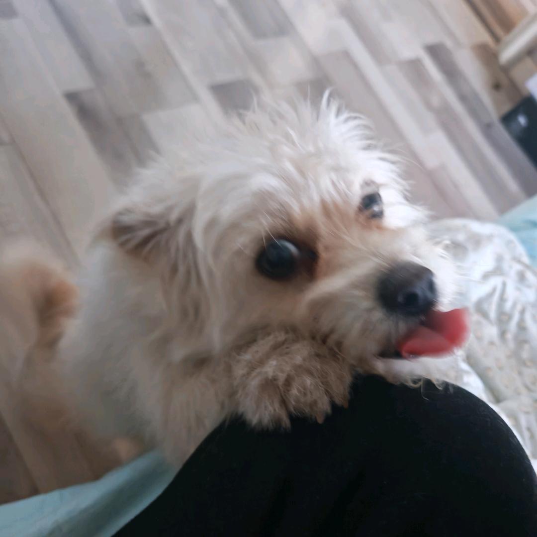 爱打羽毛球的海子