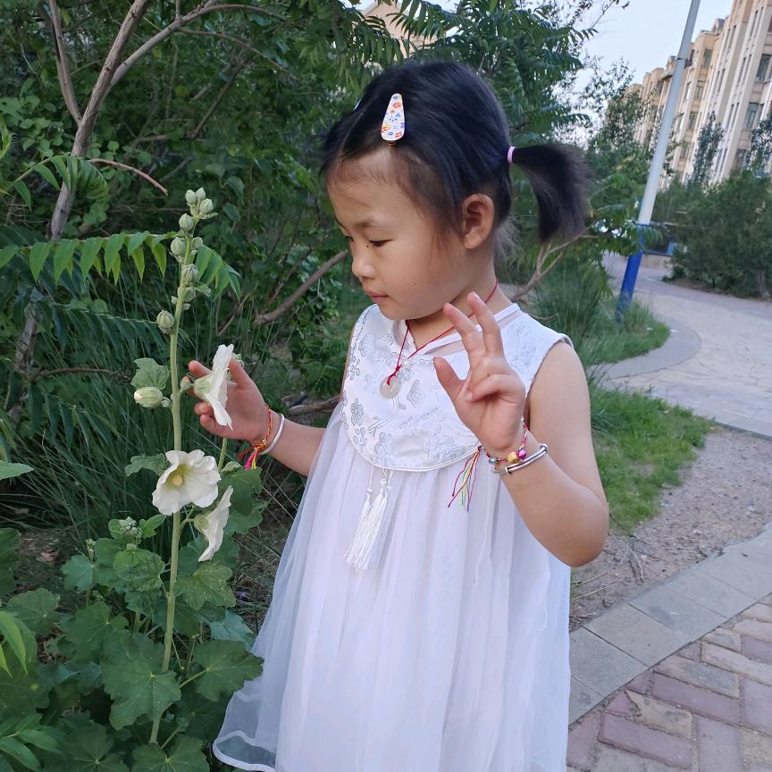 轻舞飞扬