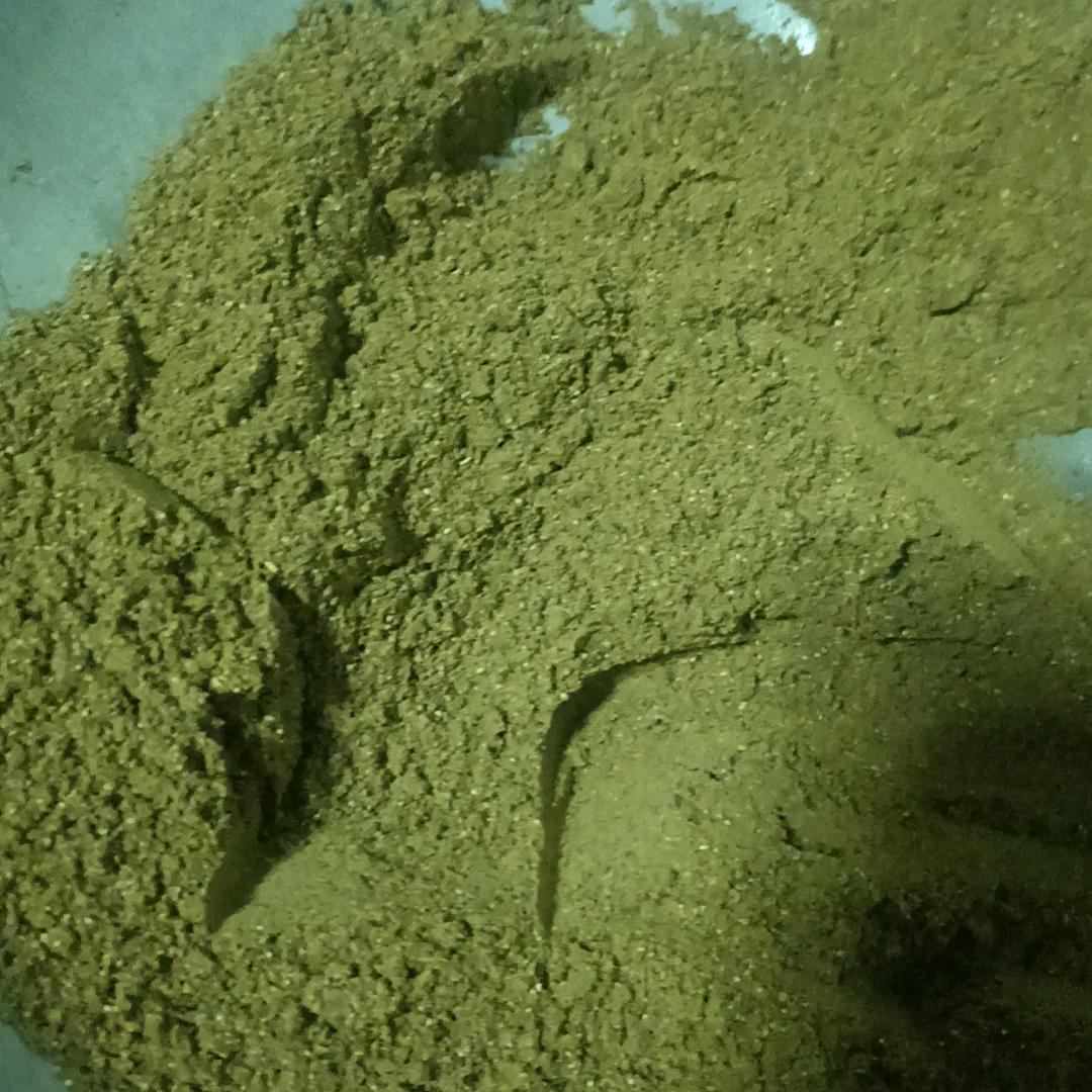 光影拾秀