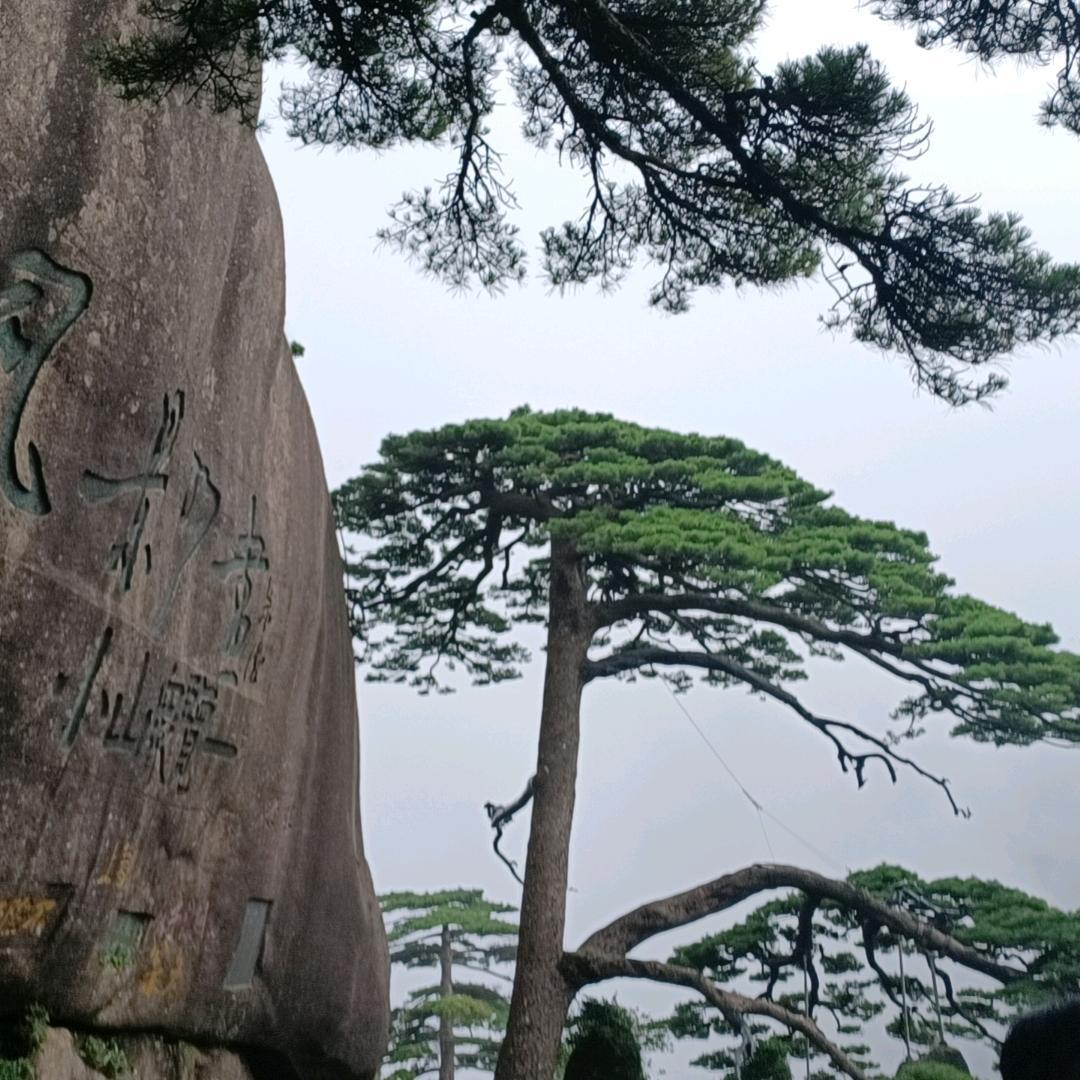 让梦起航吧