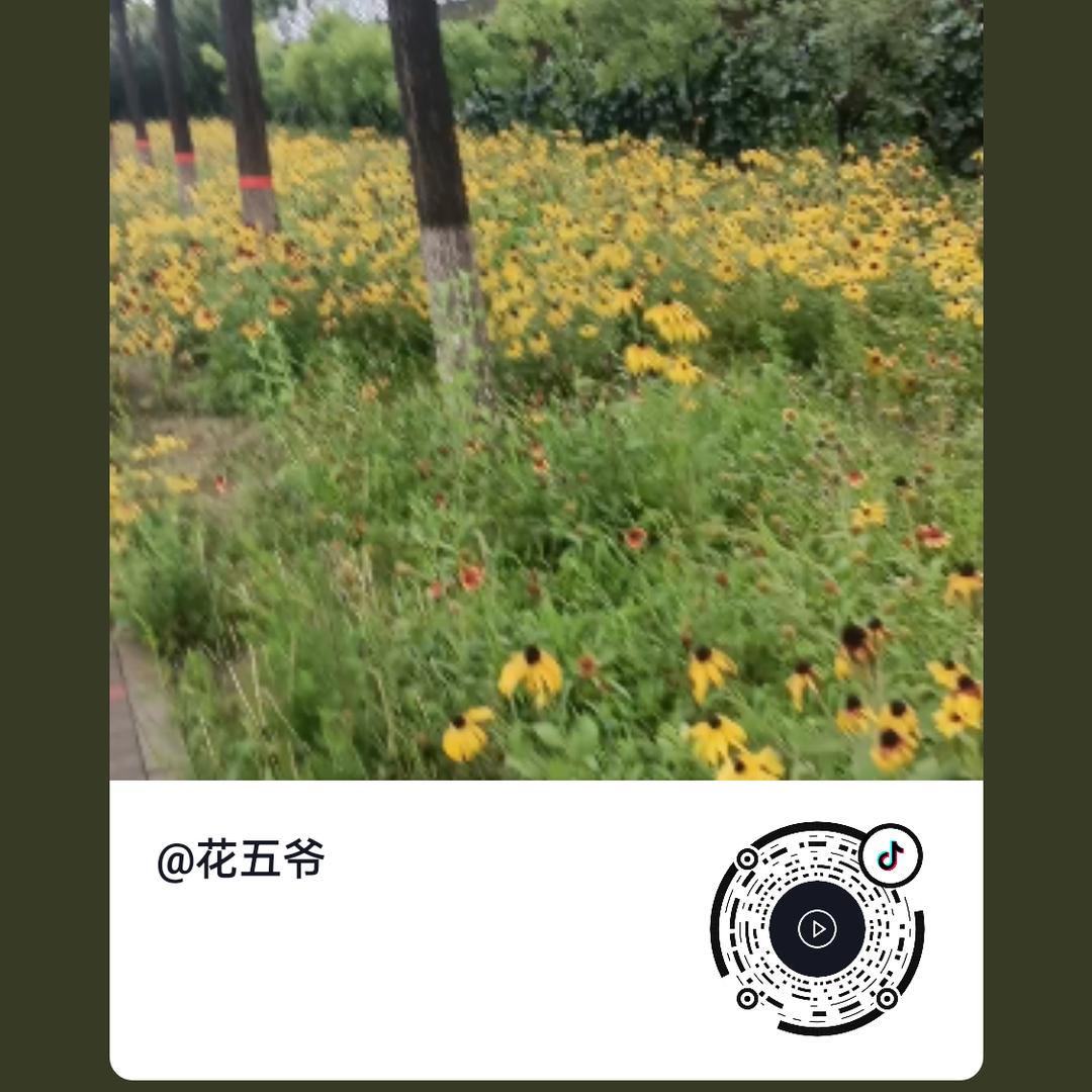 花五爷