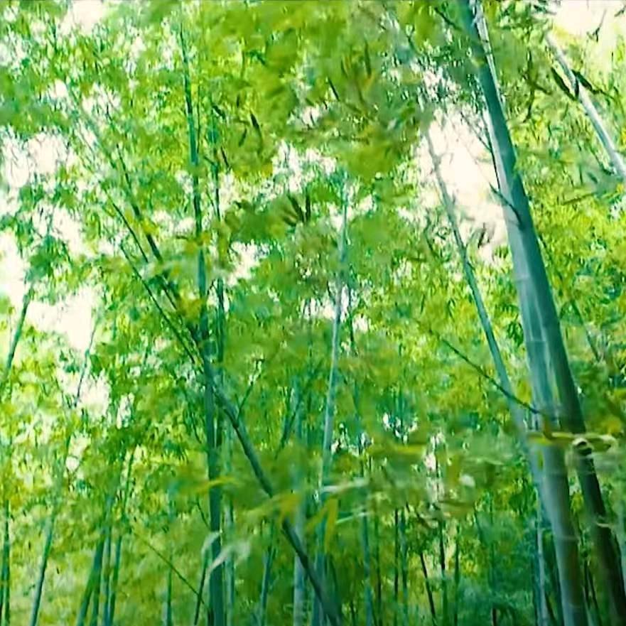 春暖花开