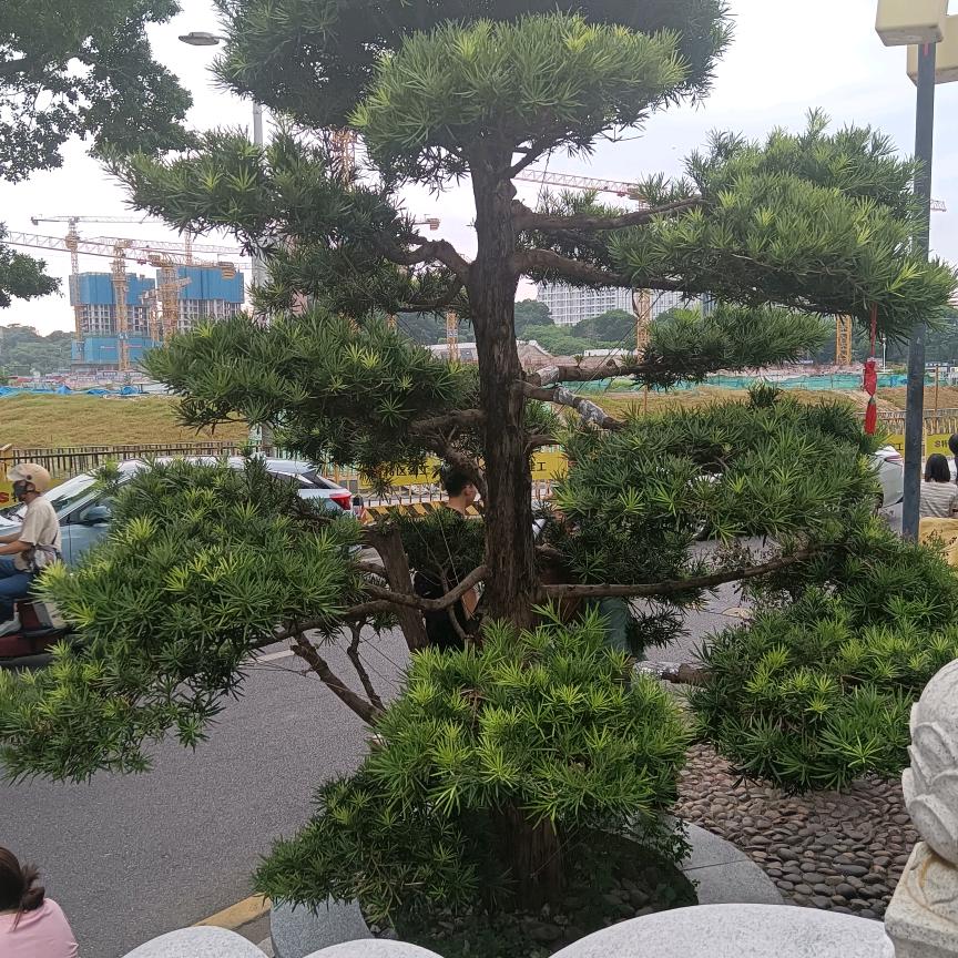 一路有你
